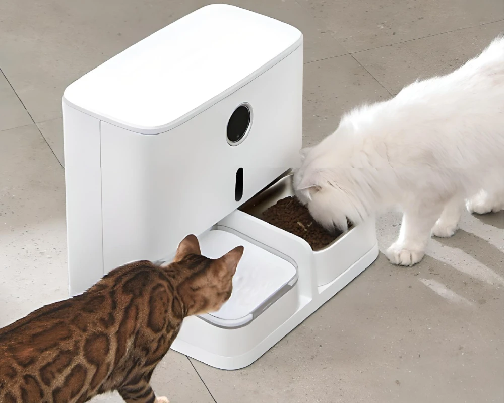 automatic dog bowl feeder