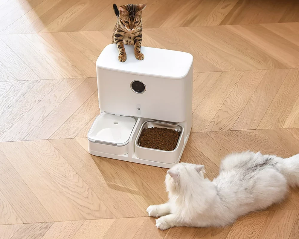 best automatic cat feeder with camera