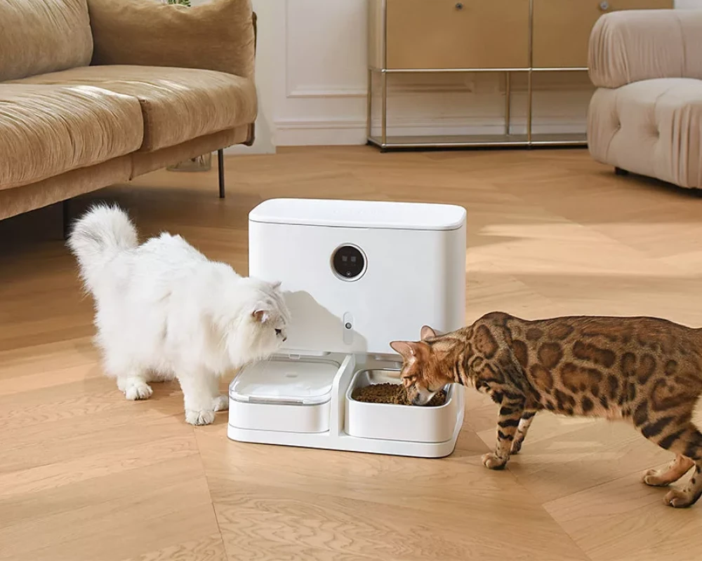 automatic pet feeding station