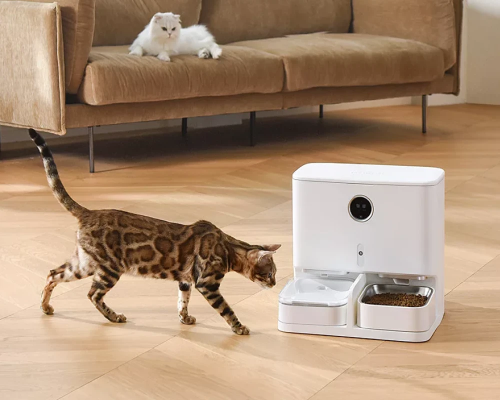 pet food and water dispenser