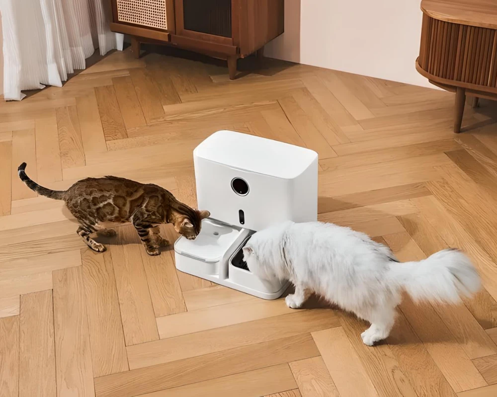 small automatic pet feeder