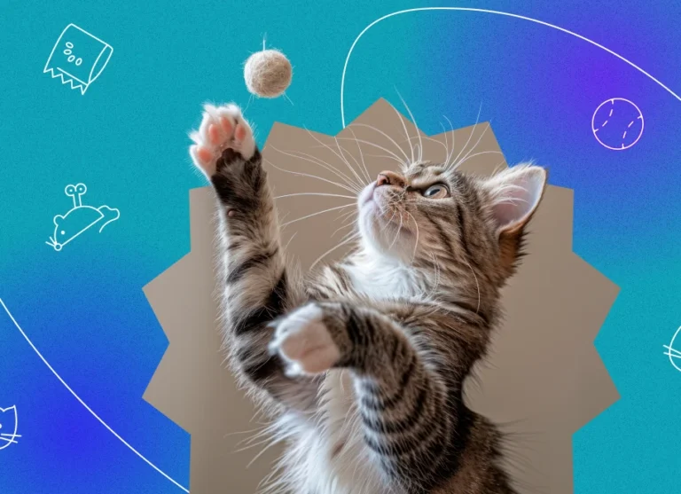 interactive_electric_cat_ball-3.webp